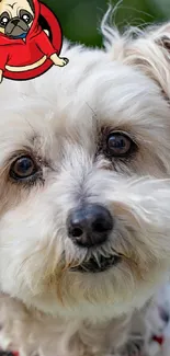 Adorable fluffy dog with cartoon sticker on head.