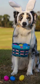 Dog wearing bunny ears holding Easter basket in park.