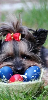 Cute dog with bow lying beside colorful Easter eggs.