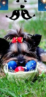 Yorkshire Terrier with Easter eggs in green grass, adorned with a red bow.