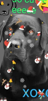 Black Labrador with playful emojis and colorful text on a dark background.