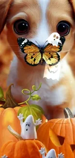 Cute puppy with butterfly and pumpkins in Halloween setting.