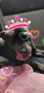 Cute dog with a heart crown and colorful glowing hearts.