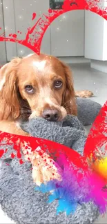 Cute dog inside a red heart frame with colorful splashes on a soft background.