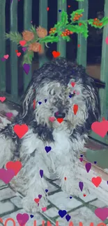 Cute dog with heart decorations on festive background.