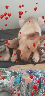 Cute dog on bed with red heart overlay.