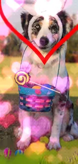 Dog with heart frame and colorful basket on grass.