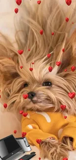 Cute dog in yellow sweater surrounded by red hearts.