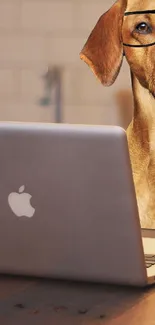 Adorable dog with glasses working on a laptop at a rustic desk.