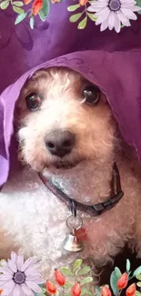 Adorable fluffy dog under a purple blanket with a floral border.