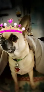 Cute dog wearing a cartoon crown and draped in a blanket.