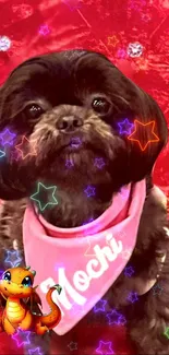 Cute dog with star overlay on a red background.