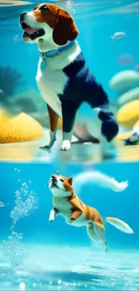 Adorable dogs swimming underwater in vibrant aquatic scenery.