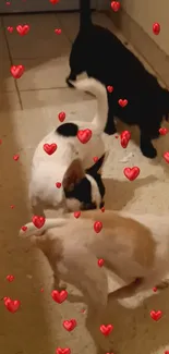 Cute dogs playing with floating red hearts background.