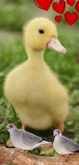 Duckling with birds and heart graphics on grass.