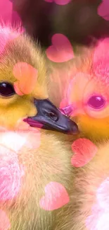 Two fluffy yellow ducklings cuddling closely, showcasing their cute features.