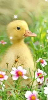 Cute duckling surrounded by spring flowers in a vibrant field.