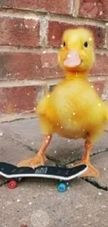 A cute yellow duckling on a skateboard in front of a brick wall.