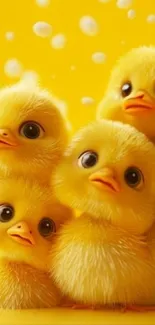 Adorable fluffy ducklings with big eyes on a bright yellow background.