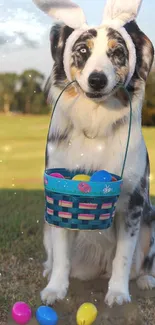 Dog with bunny ears and Easter basket in a field.