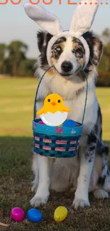 Dog with bunny ears and Easter basket on grass.