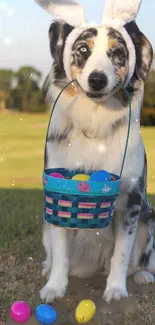 Dog wearing bunny ears with Easter basket on grass.