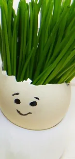 Smiling eggshell planter with green grass.