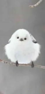 Fluffy white bird perched on a branch in a serene setting.