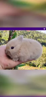 Fluffy beige bunny in a hand with green hillside background.