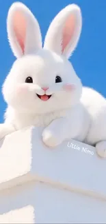 Adorable fluffy bunny sitting on a white surface with a blue sky backdrop.