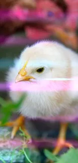 A cute fluffy chick with vibrant colors in nature backdrop.