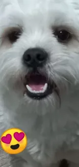 Adorable fluffy dog with heart emoji.