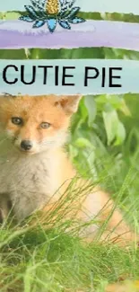 Adorable fox in lush green grass, labeled 'Cutie Pie'.