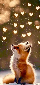 Cute fox looking at heart-shaped lights in the snow.