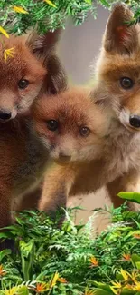 Cute fox cubs nestled together in a vibrant green forest.