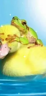 Green frog sitting on yellow duckling, floating on blue water.