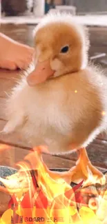 Cute duckling standing on burning skateboard.