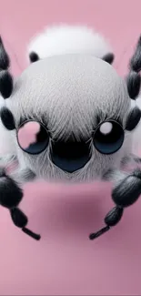 Cute fuzzy spider on a pink background.