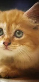 Cute ginger kitten with fluffy fur, wide eyes, and an adorable expression.