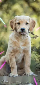 Golden retriever puppy with a stick, surrounded by nature and light streaks.