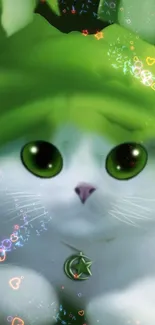 Cute cat in green hat with sparkling hearts and stars.