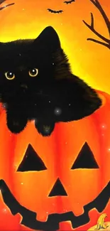 Cute black cat on Halloween pumpkin with orange background.