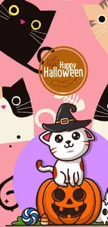 Cute Halloween cat with pumpkins and spooky decorations on pink background.