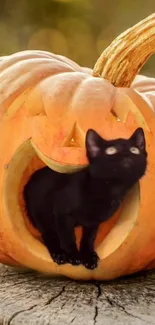 Black cat in carved pumpkin Halloween wallpaper.