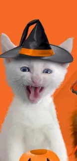 Cute white kitten in witch hat with a Halloween pumpkin.