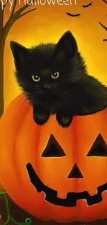 Black cat in a pumpkin for a Halloween theme mobile wallpaper.