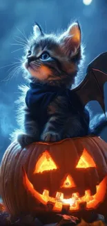 Adorable kitten with bat wings on a pumpkin, perfect for Halloween.