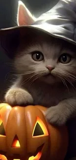 Cute kitten in witch hat with pumpkin for Halloween.