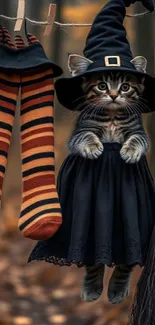 Adorable cat dressed as a witch with striped socks in a magical forest.