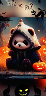 Adorable panda in Halloween pumpkin scene.
